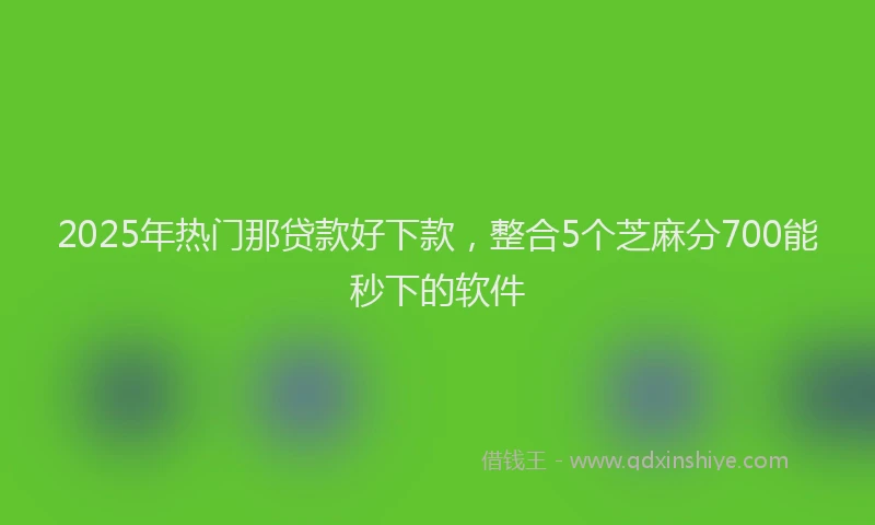 2025年热门那贷款好下款，整合5个芝麻分700能秒下的软件