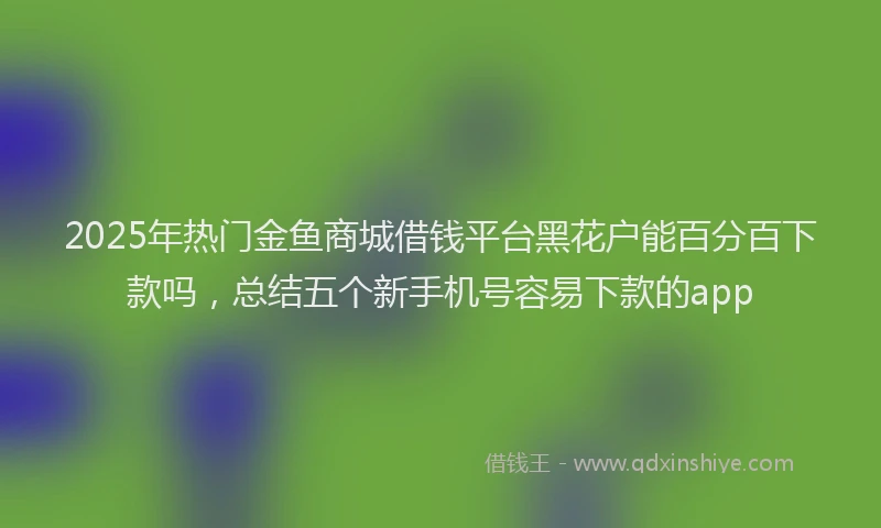 2025年热门金鱼商城借钱平台黑花户能百分百下款吗,总结五个新手机号容易下款的app