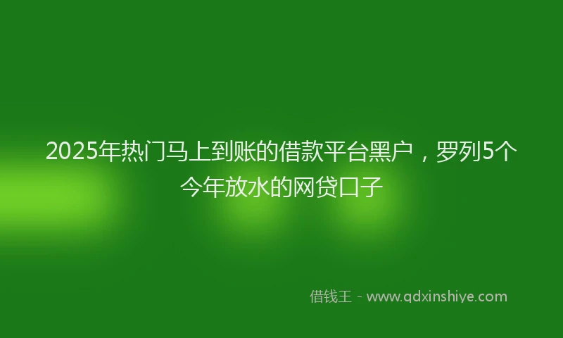2025年热门马上到账的借款平台黑户，罗列5个今年放水的网贷口子