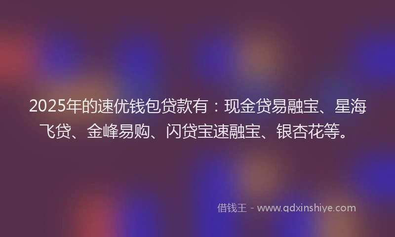 2025年的速优钱包贷款有：现金贷易融宝、星海飞贷、金峰易购、闪贷宝速融宝、银杏花等。