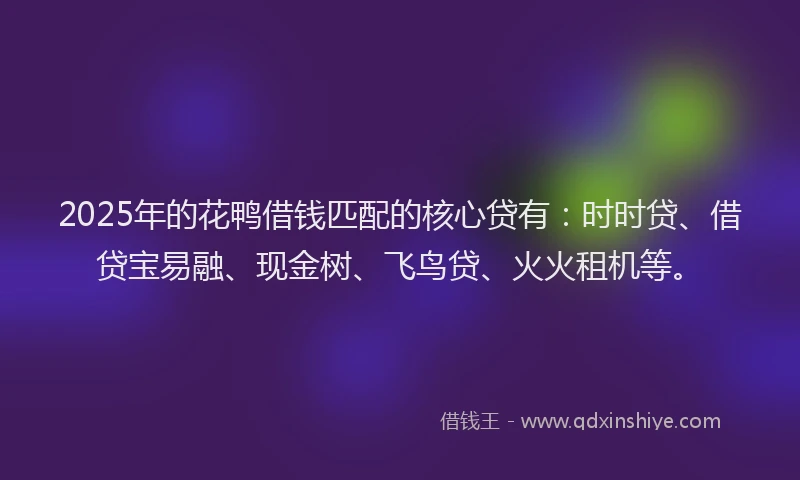 2025年的花鸭借钱匹配的核心贷有：时时贷、借贷宝易融、现金树、飞鸟贷、火火租机等。