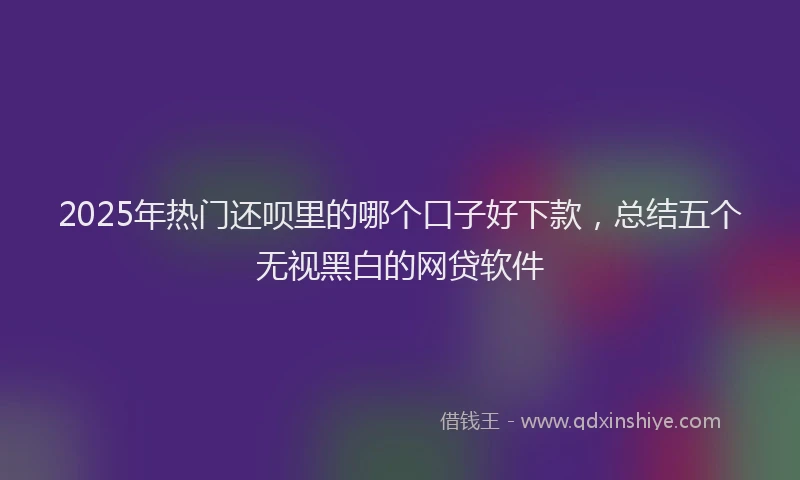 2025年热门还呗里的哪个口子好下款,总结五个无视黑白的网贷软件