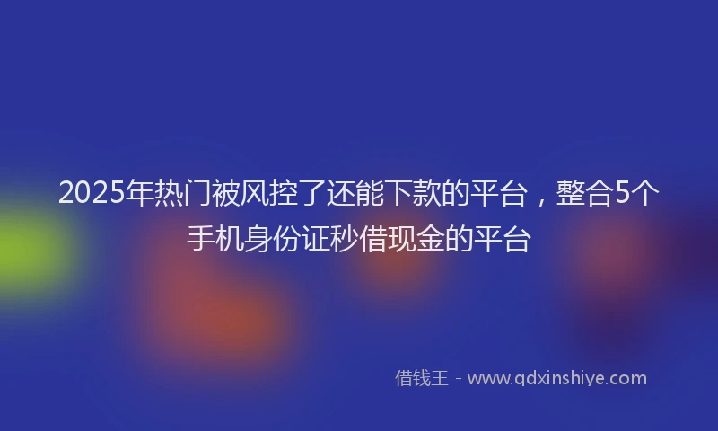 2025年热门被风控了还能下款的平台,整合5个手机身份证秒借现金的平台
