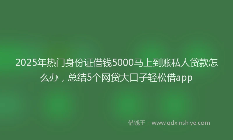 2025年热门身份证借钱5000马上到账私人贷款怎么办，总结5个网贷大口子轻松借app