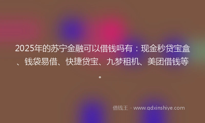 2025年的苏宁金融可以借钱吗有：现金秒贷宝盒、钱袋易借、快捷贷宝、九梦租机、美团借钱等。