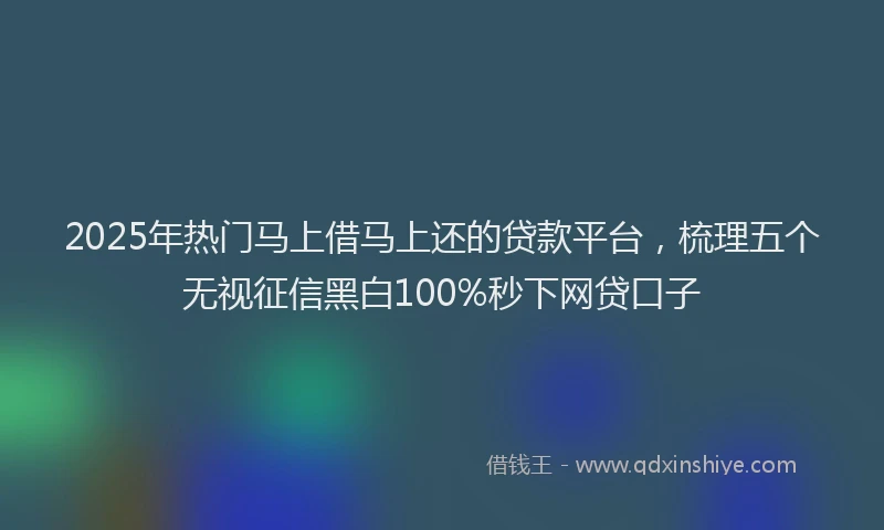 2025年热门马上借马上还的贷款平台，梳理五个无视征信黑白100%秒下网贷口子