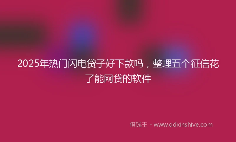 2025年热门闪电贷子好下款吗，整理五个征信花了能网贷的软件
