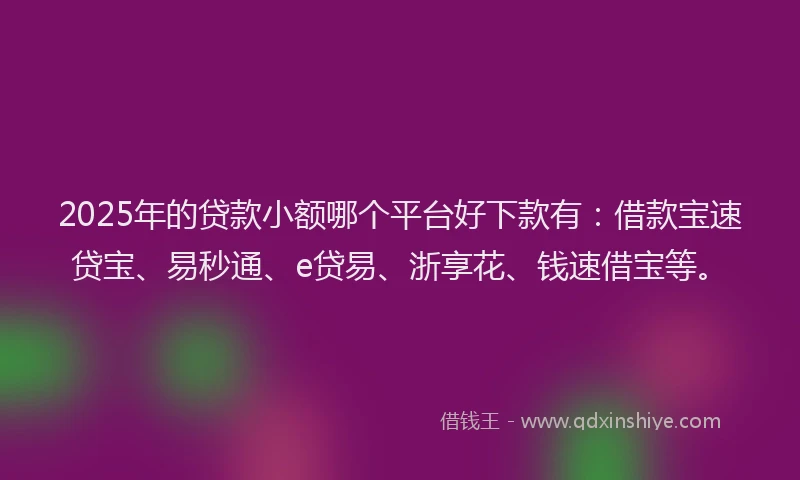 2025年的贷款小额哪个平台好下款有:借款宝速贷宝、易秒通、e贷易、浙享花、钱速借宝等。