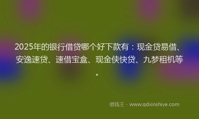 2025年的银行借贷哪个好下款有:现金贷易借、安逸速贷、速借宝盒、现金侠快贷、九梦租机等。