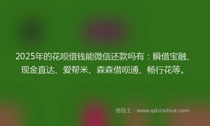 2025年的花呗借钱能微信还款吗有:瞬借宝融、现金直达、爱帮米、森森借呗通、畅行花等。