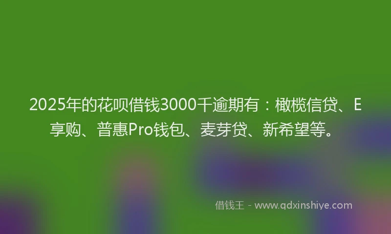 2025年的花呗借钱3000千逾期有:橄榄信贷、E享购、普惠Pro钱包、麦芽贷、新希望等。