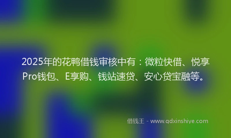 2025年的花鸭借钱审核中有：微粒快借、悦享Pro钱包、E享购、钱站速贷、安心贷宝融等。