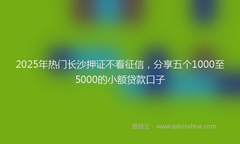 2025年热门长沙押证不看征信,分享五个1000至5000的小额贷款口子
