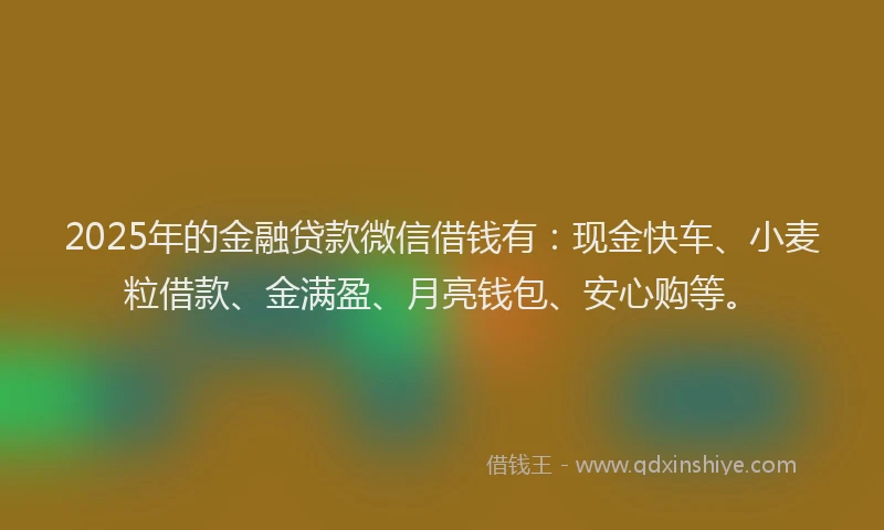 2025年的金融贷款微信借钱有:现金快车、小麦粒借款、金满盈、月亮钱包、安心购等。