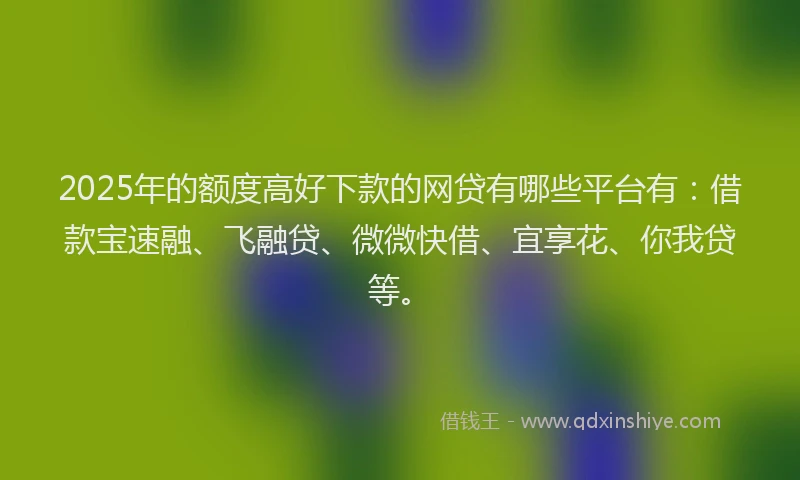 2025年的额度高好下款的网贷有哪些平台有：借款宝速融、飞融贷、微微快借、宜享花、你我贷等。