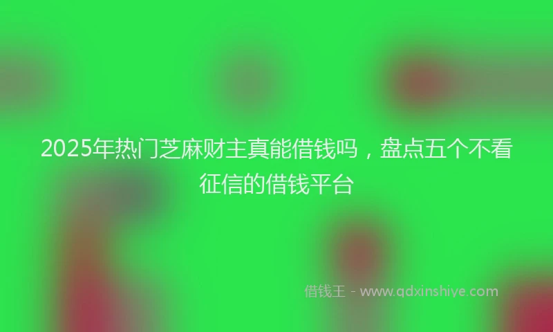 2025年热门芝麻财主真能借钱吗，盘点五个不看征信的借钱平台