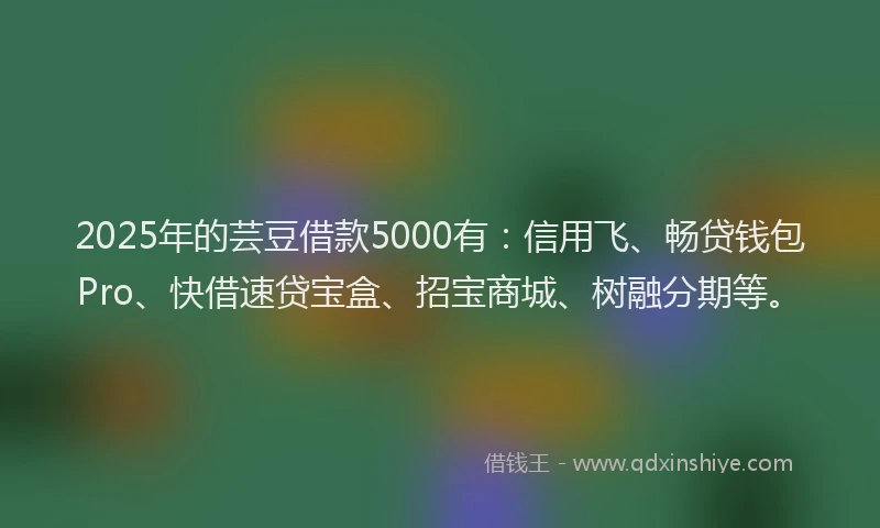 2025年的芸豆借款5000有：信用飞、畅贷钱包Pro、快借速贷宝盒、招宝商城、树融分期等。
