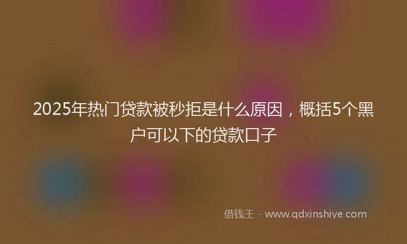 2025年热门贷款被秒拒是什么原因,概括5个黑户可以下的贷款口子