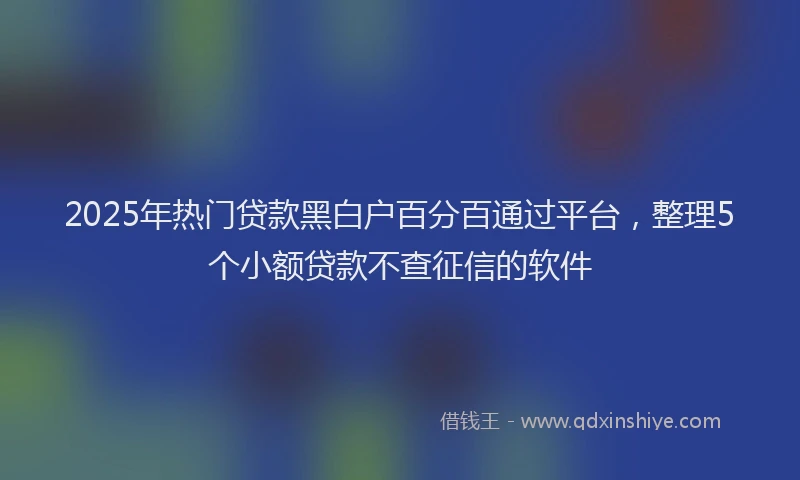 2025年热门贷款黑白户百分百通过平台，整理5个小额贷款不查征信的软件