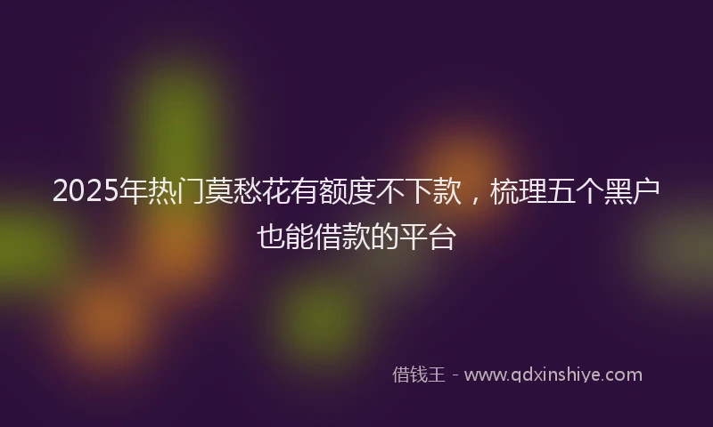 2025年热门莫愁花有额度不下款，梳理五个黑户也能借款的平台