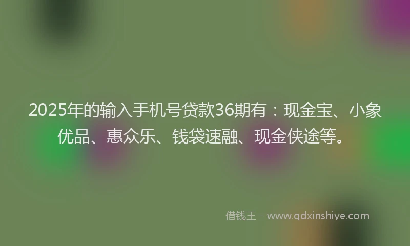 2025年的输入手机号贷款36期有:现金宝、小象优品、惠众乐、钱袋速融、现金侠途等。