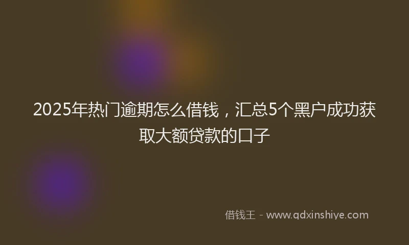 2025年热门逾期怎么借钱，汇总5个黑户成功获取大额贷款的口子