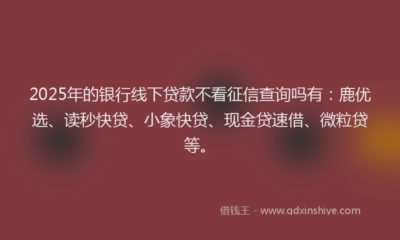 2025年的银行线下贷款不看征信查询吗有：鹿优选、读秒快贷、小象快贷、现金贷速借、微粒贷等。