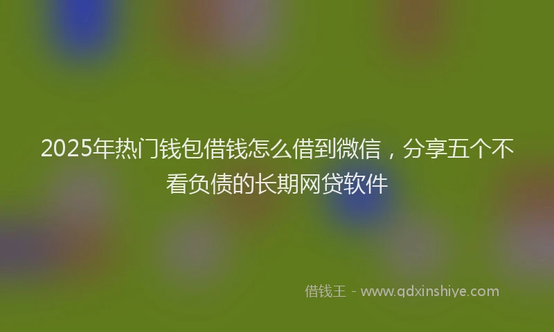 2025年热门钱包借钱怎么借到微信，分享五个不看负债的长期网贷软件