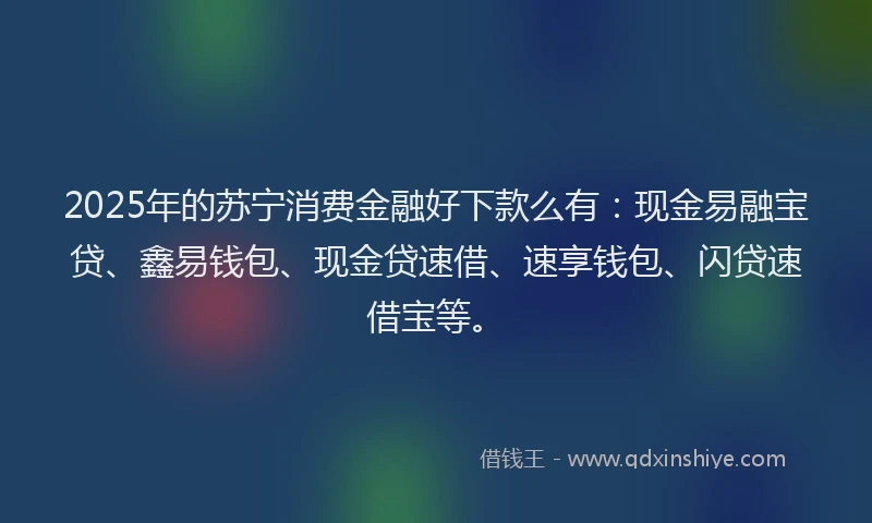 2025年的苏宁消费金融好下款么有：现金易融宝贷、鑫易钱包、现金贷速借、速享钱包、闪贷速借宝等。