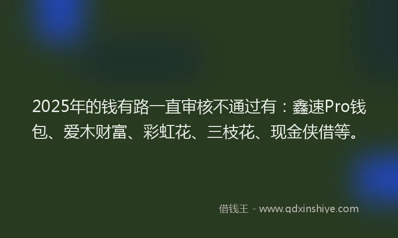 2025年的钱有路一直审核不通过有：鑫速Pro钱包、爱木财富、彩虹花、三枝花、现金侠借等。