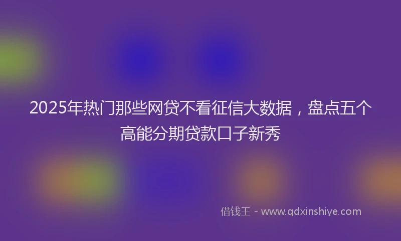 2025年热门那些网贷不看征信大数据，盘点五个高能分期贷款口子新秀