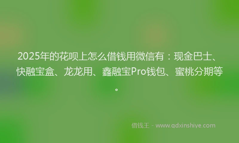 2025年的花呗上怎么借钱用微信有：现金巴士、快融宝盒、龙龙用、鑫融宝Pro钱包、蜜桃分期等。