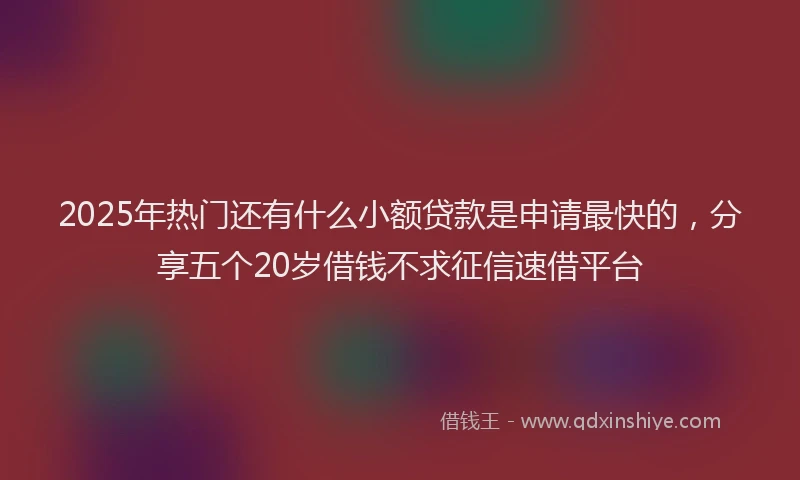 2025年热门还有什么小额贷款是申请最快的,分享五个20岁借钱不求征信速借平台