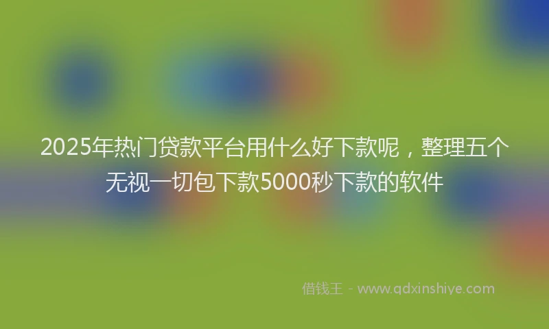 2025年热门贷款平台用什么好下款呢,整理五个无视一切包下款5000秒下款的软件