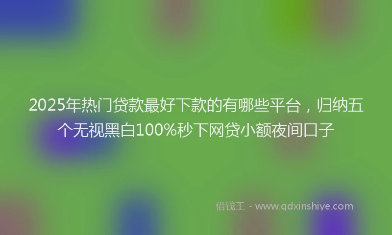 2025年热门贷款最好下款的有哪些平台,归纳五个无视黑白100%秒下网贷小额夜间口子