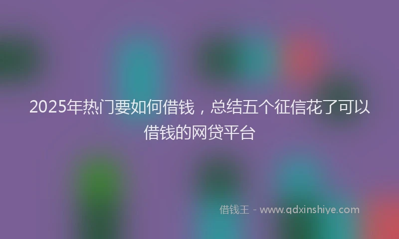 2025年热门要如何借钱，总结五个征信花了可以借钱的网贷平台