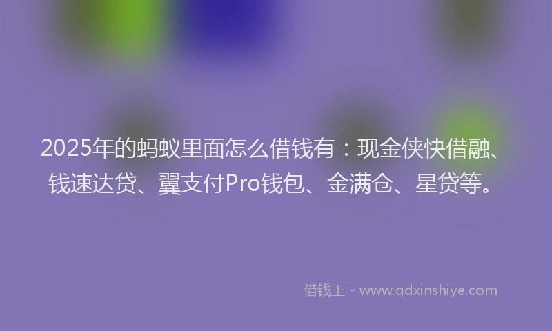 2025年的蚂蚁里面怎么借钱有：现金侠快借融、钱速达贷、翼支付Pro钱包、金满仓、星贷等。
