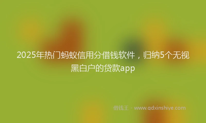 2025年热门蚂蚁信用分借钱软件，归纳5个无视黑白户的贷款app