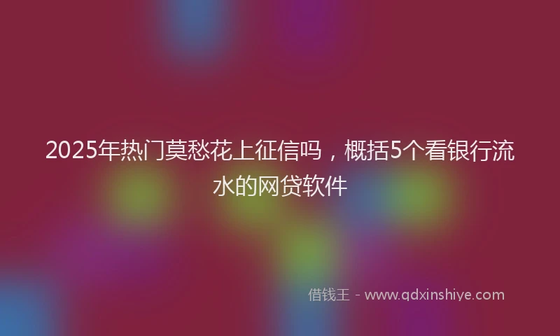 2025年热门莫愁花上征信吗，概括5个看银行流水的网贷软件