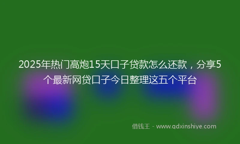 2025年热门高炮15天口子贷款怎么还款，分享5个最新网贷口子今日整理这五个平台