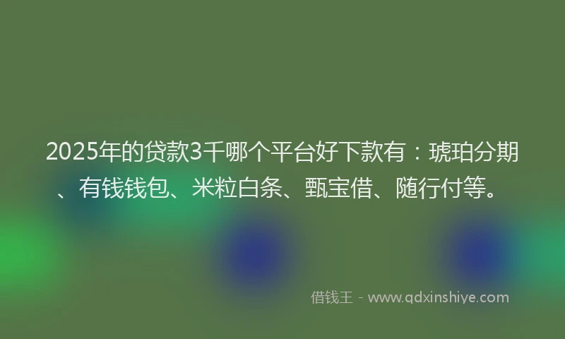 2025年的贷款3千哪个平台好下款有:琥珀分期、有钱钱包、米粒白条、甄宝借、随行付等。