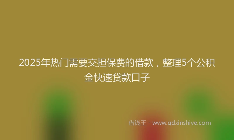2025年热门需要交担保费的借款，整理5个公积金快速贷款口子
