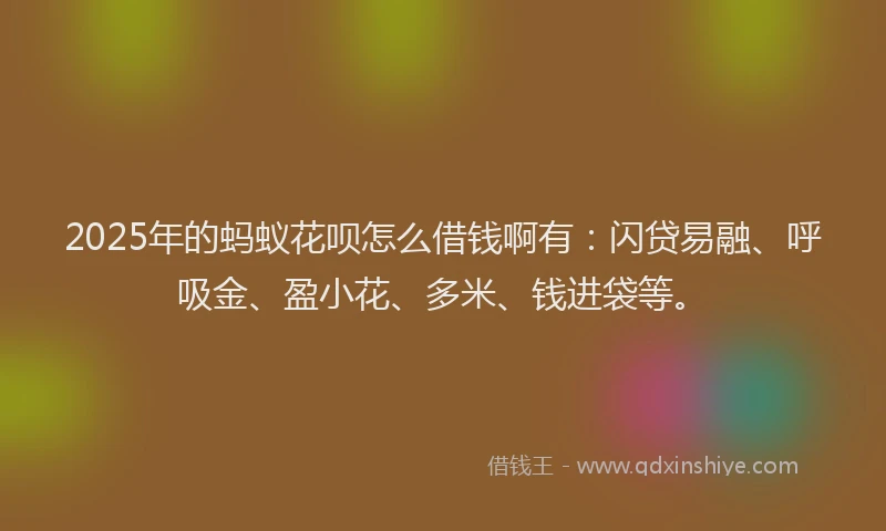 2025年的蚂蚁花呗怎么借钱啊有：闪贷易融、呼吸金、盈小花、多米、钱进袋等。