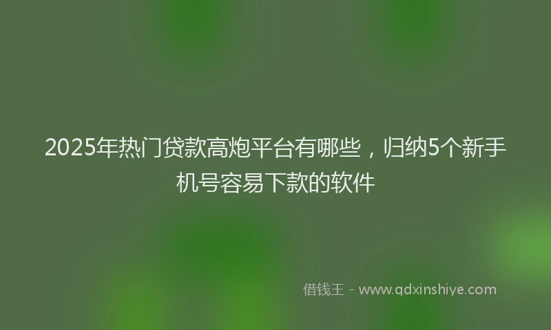 2025年热门贷款高炮平台有哪些，归纳5个新手机号容易下款的软件