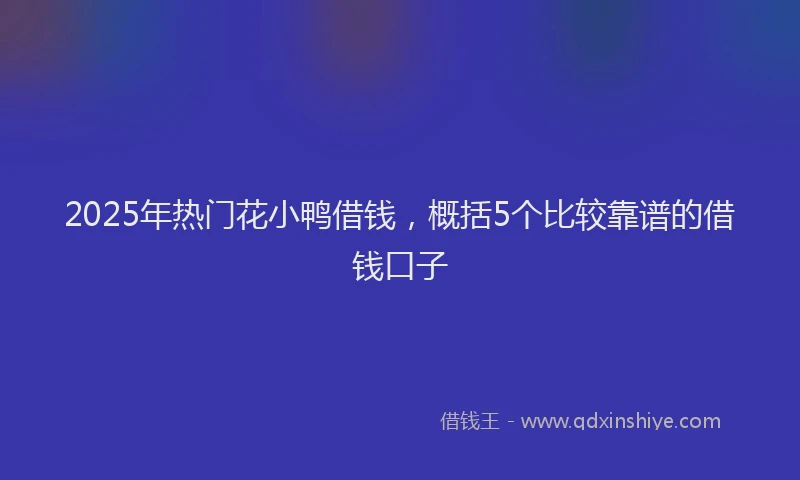 2025年热门花小鸭借钱，概括5个比较靠谱的借钱口子
