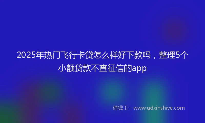 2025年热门飞行卡贷怎么样好下款吗，整理5个小额贷款不查征信的app