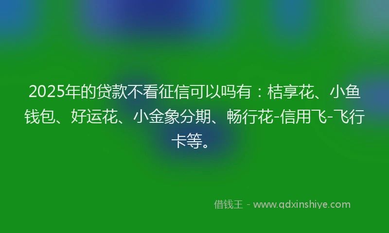 2025年的贷款不看征信可以吗有:桔享花、小鱼钱包、好运花、小金象分期、畅行花-信用飞-飞行卡等。