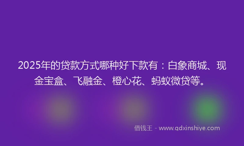 2025年的贷款方式哪种好下款有:白象商城、现金宝盒、飞融金、橙心花、蚂蚁微贷等。