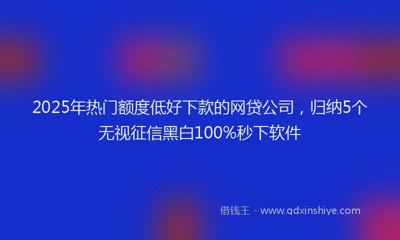 2025年热门额度低好下款的网贷公司，归纳5个无视征信黑白100%秒下软件