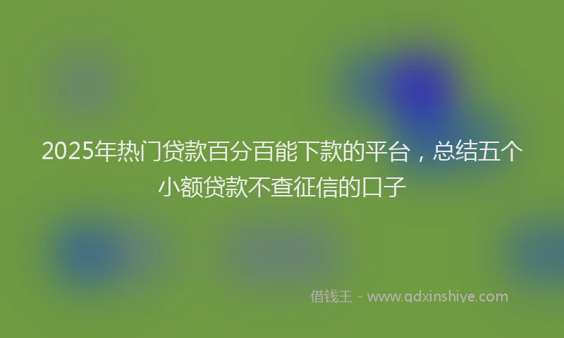 2025年热门贷款百分百能下款的平台,总结五个小额贷款不查征信的口子